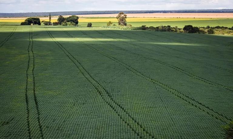 Soja impulsiona em 20,6% a produção de grãos na safra brasileira 2022/23