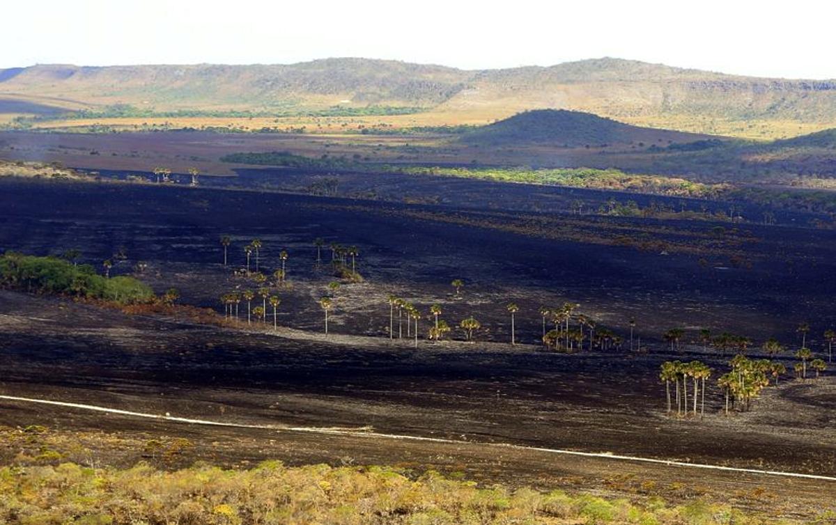 Fogo queimou um quinto do Brasil em quase quatro décadas