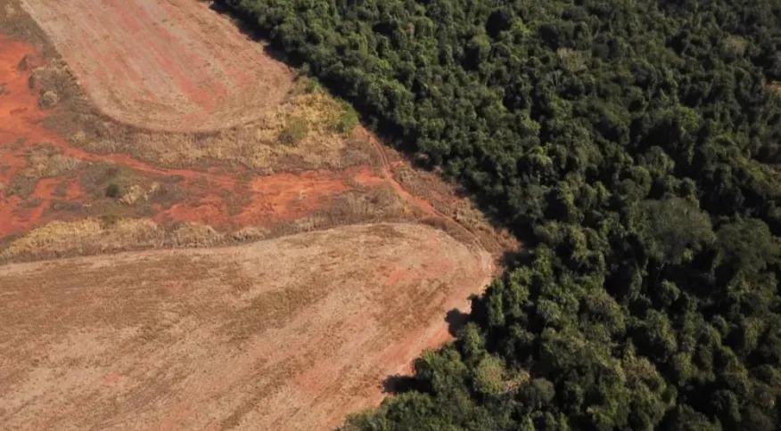Aceleração do desmatamento deixa o Brasil propício para uma nova pandemia, dizem especialistas
