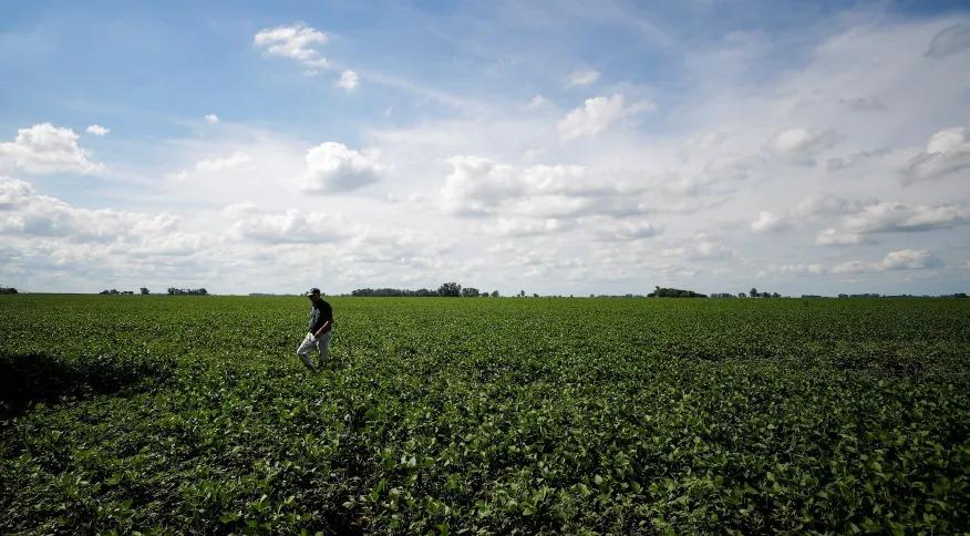 Agropecuária se recupera de impactos climáticos e deve manter números fortes, dizem especialistas