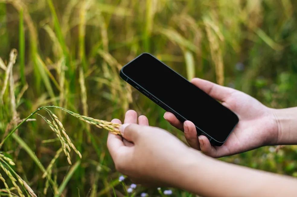 Aplicativo calcula horas de frio e ajuda agricultores a planejar cultivos no Paraná