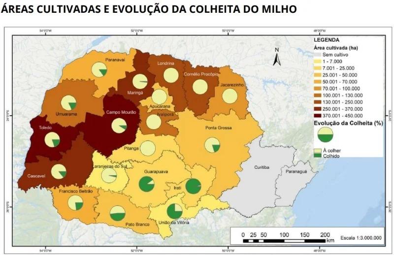Clima ainda limita avanço da colheita do milho no Paraná, relata Deral