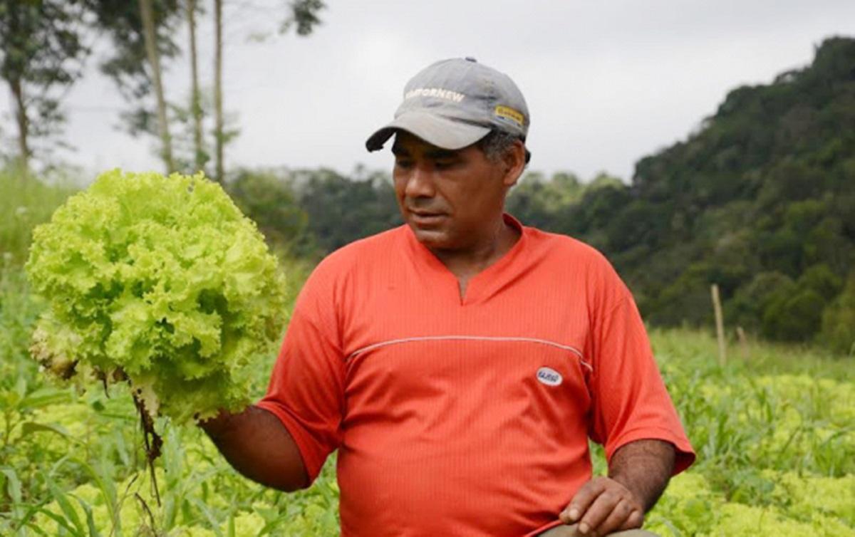 Governo Lula costura parceria com a ONU para injetar R$ 4 bi na agricultura sustentável