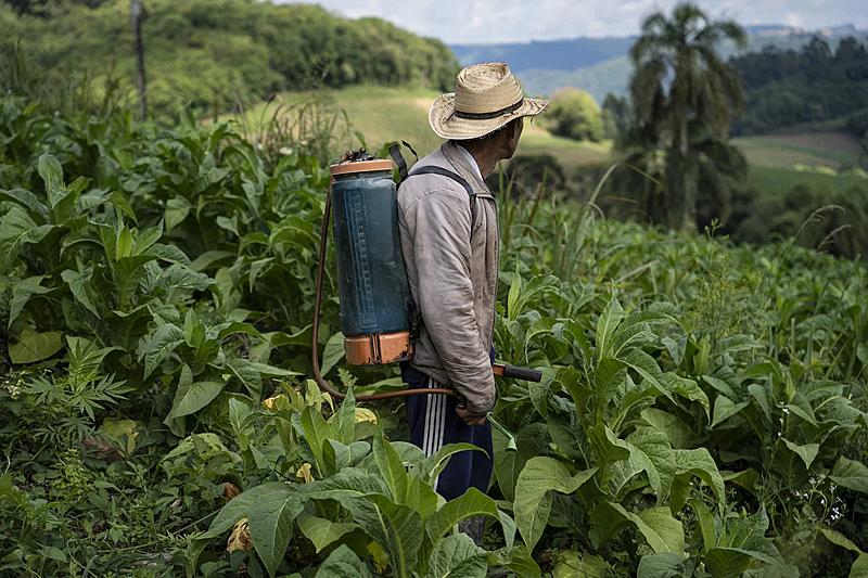 STF derruba dispositivos de Bolsonaro que flexibilizavam controle de agrotóxicos