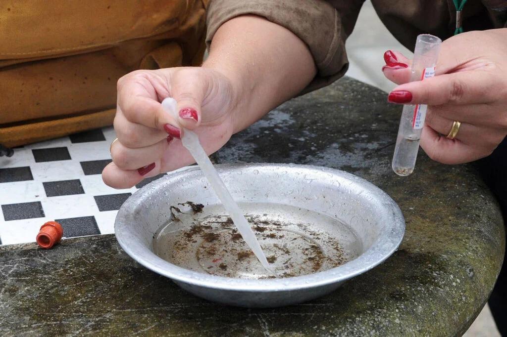 Ano epidemiológico da dengue chega ao fim com mais de 135 mil casos no Paraná