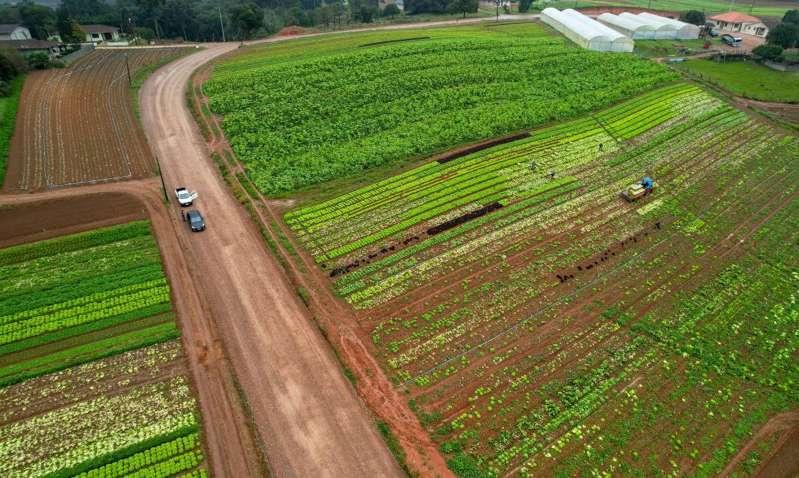 Banco do Agricultor Paranaense amplia linhas de crédito e terá juro zero