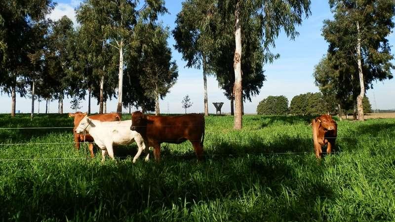 Governo do Paraná publica edital para apoiar agricultura familiar