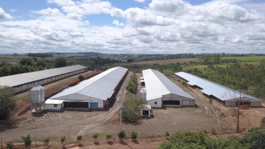 Custos com aquecimento das granjas do Paraná aumentam 20%