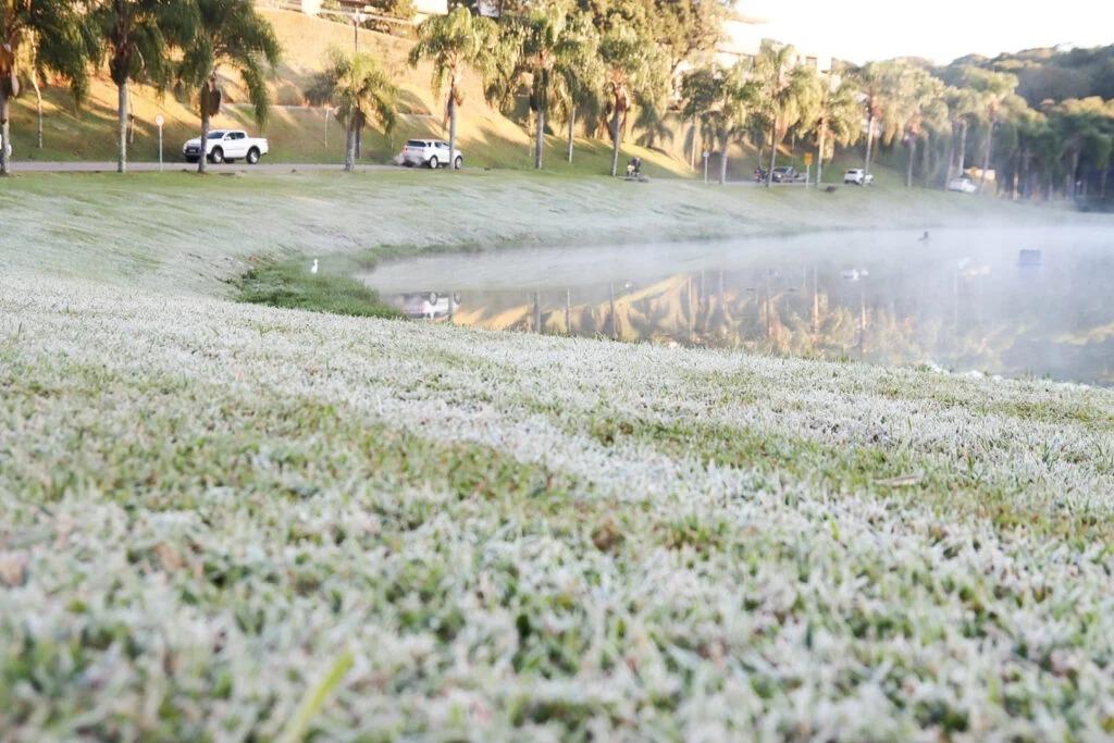 Inverno ameno e com só duas ondas de frio faz geadas ‘desaparecem’ do Paraná em 2023