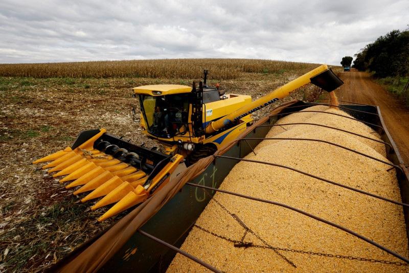 Safra de milho no Paraná tem início acelerado com chuvas favoráveis também à soja