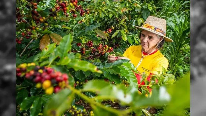 Comissão aprova maior prazo para quitar financiamento rural