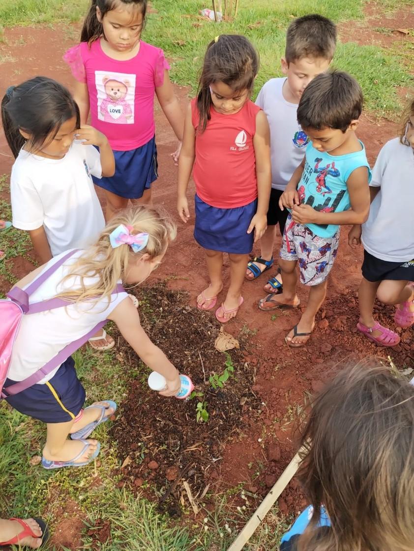 Escolas aderem em peso ao SH + Verde; Vila Celeste já forma um de seus bosques