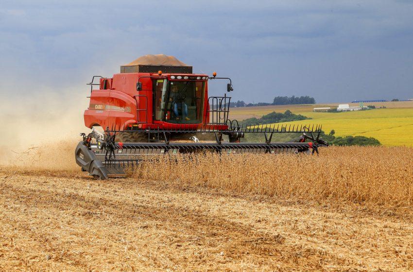 Guerra em Israel pode impactar agronegócio paranaense