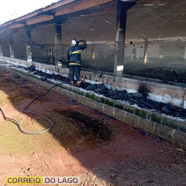 Aves morrerem carbonizadas durante incêndio em aviário no interior de Santa Helena