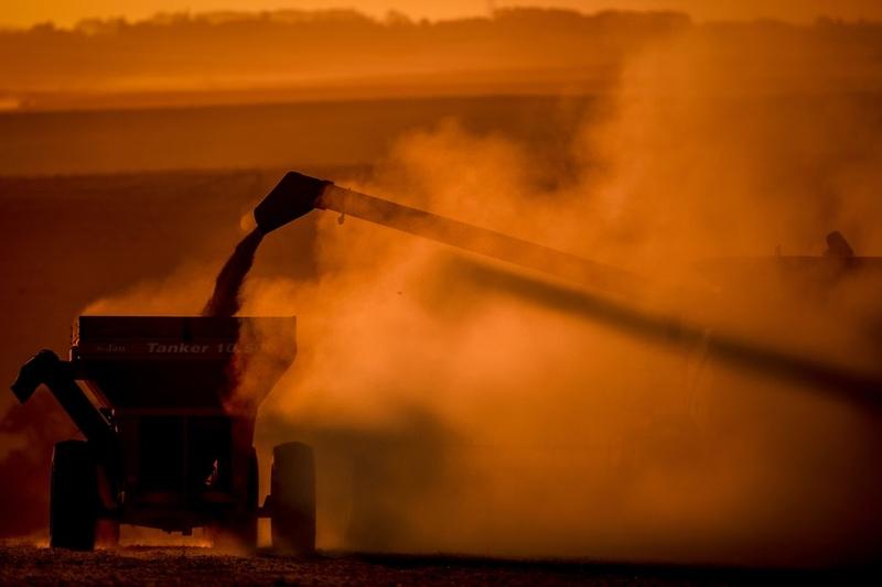 Acordo com UE pode ser fatal para pequenos produtores, dizem movimentos camponeses do Mercosul