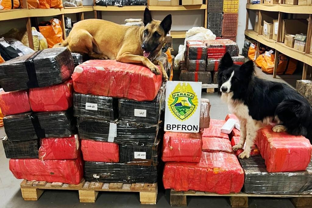 BPFron apreende quase uma tonelada de drogas em Santa Helena