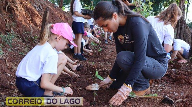 Alunos plantam árvores em Projeto em distrito de Santa Helena