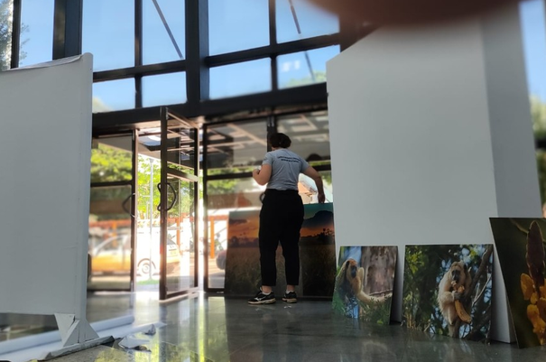 Exposição 'Territórios Revelados' continua no saguão da prefeitura de SH