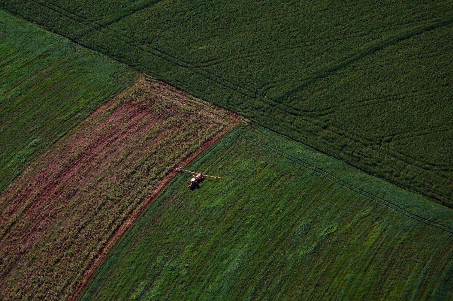 Paraná amplia produção agropecuária e se consolida como “supermercado do mundo”