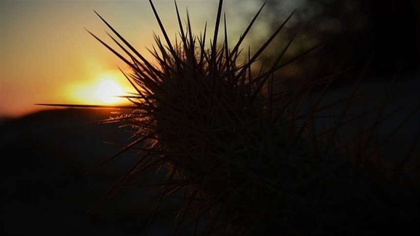 Como será o clima em abril?