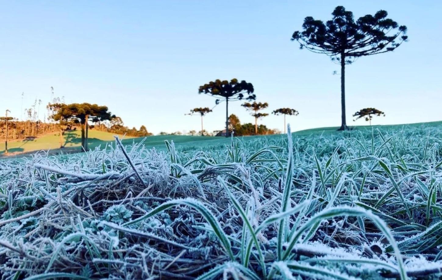 Nova onda de frio tem data para chegar ao Paraná com mínima de 0°C