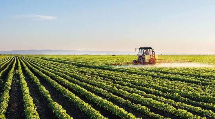 Seguro rural: novas regras ampliam cobertura e proteção ao produtor